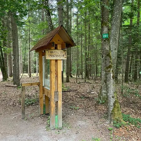 De La Vallee Апартаменты Dambach