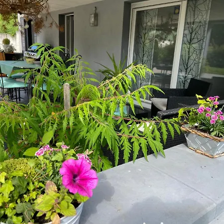 Apartment De La Vallee Dambach