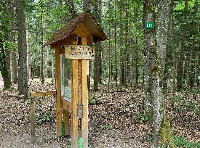 De La Vallée Appartamento Dambach