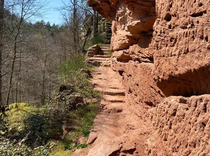 De La Vallee דירה Dambach