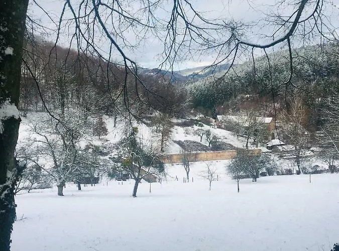 דירה De La Vallee *