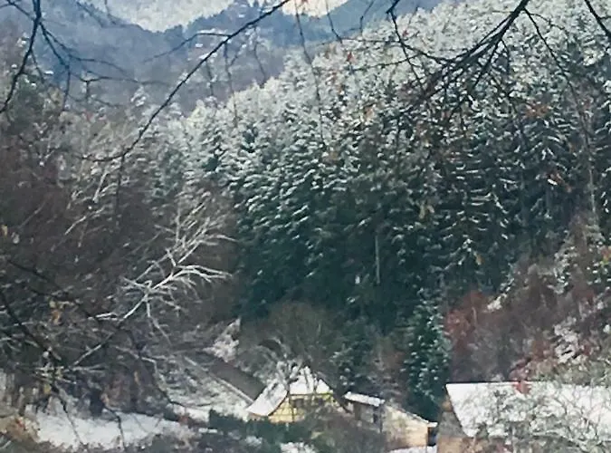 De La Vallée Appartamento Dambach